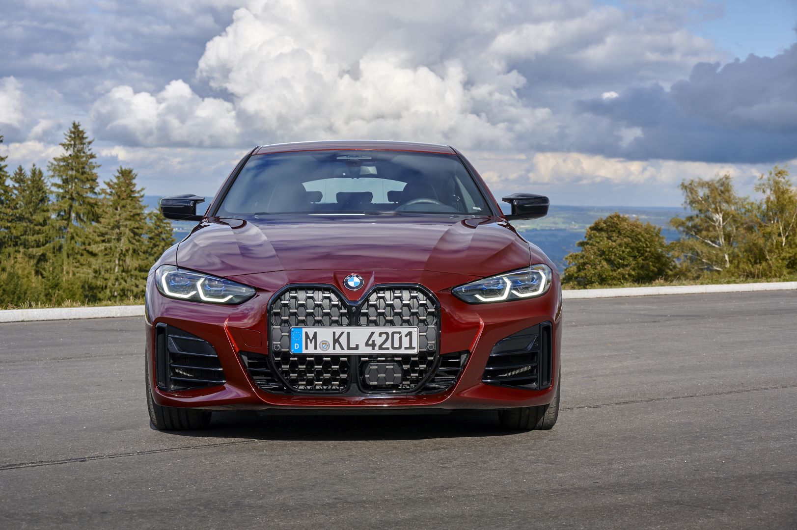 Bmw 4 Series Gran Coupe photo 124