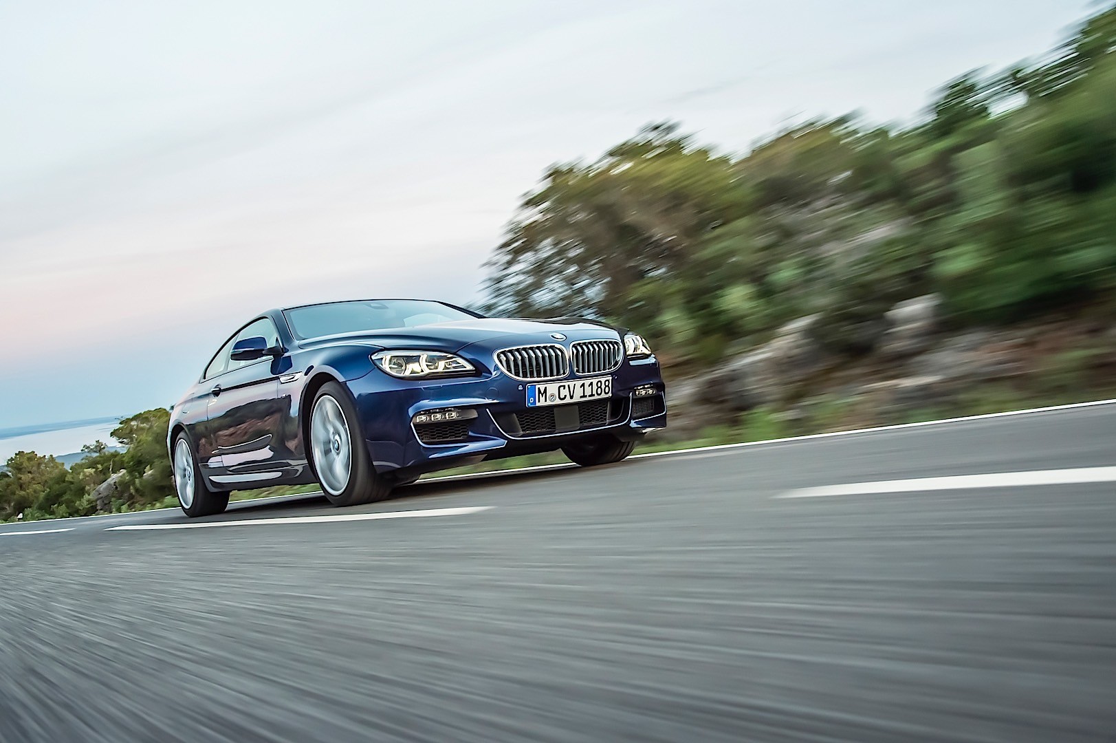 Bmw 6 Series Coupe photo 32