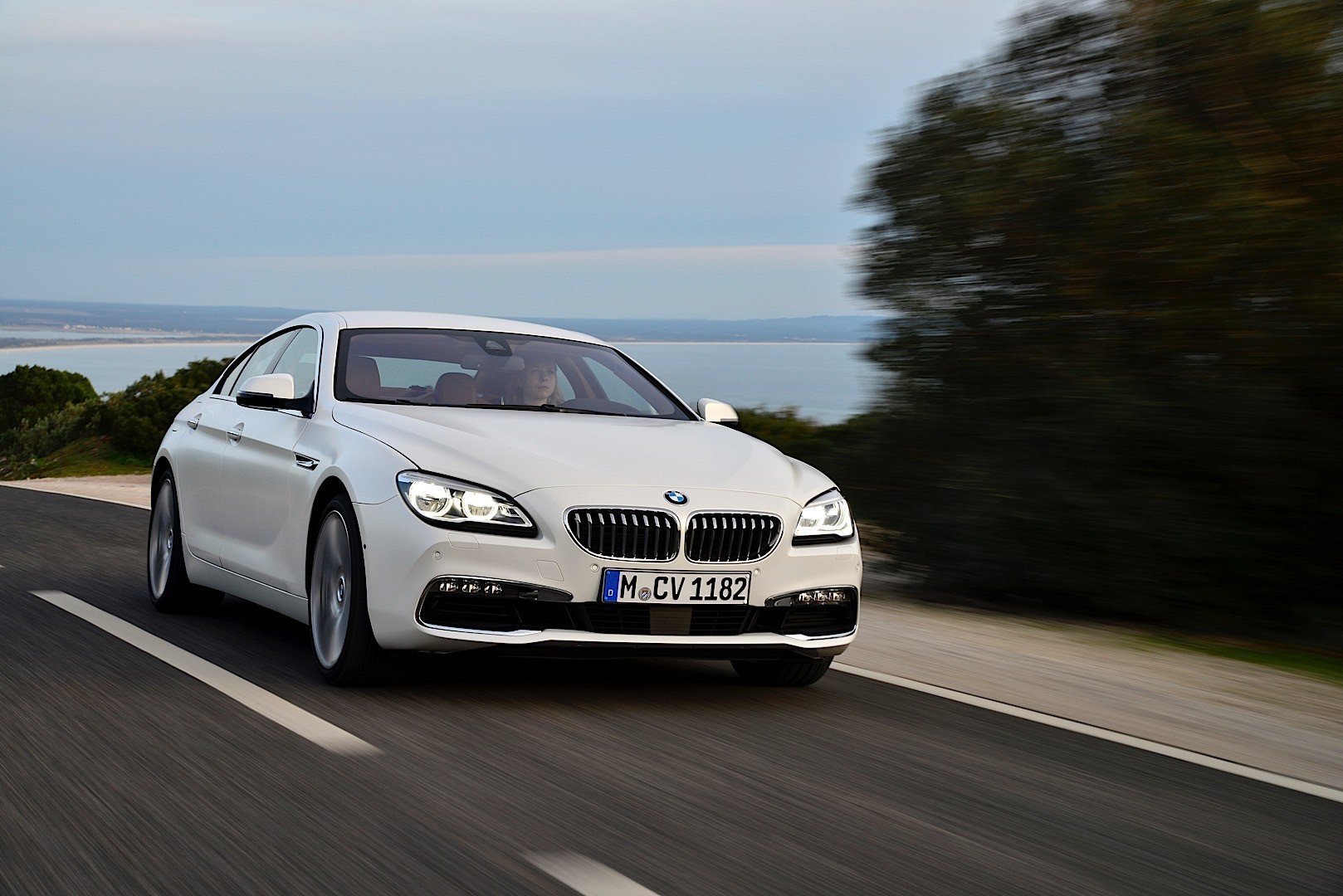 Bmw 6 Series Gran Coupe photo 10