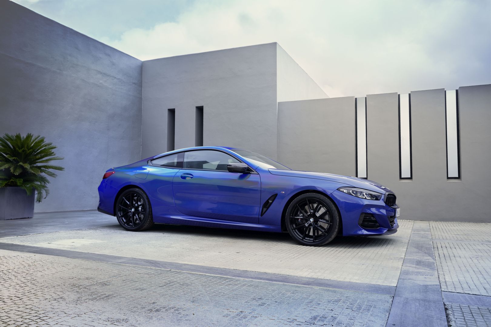 Bmw 8 Series Coupe photo 10