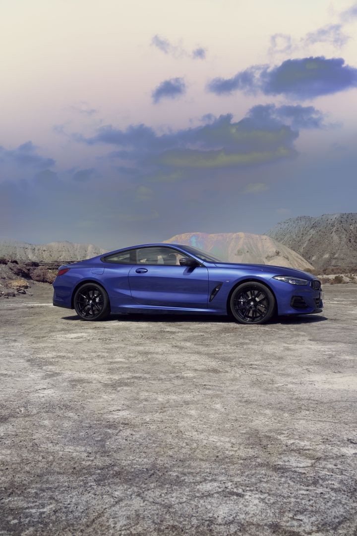 Bmw 8 Series Coupe photo 28