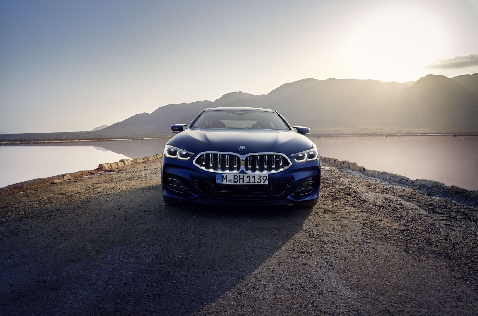 Bmw 8 Series Coupe photo 29
