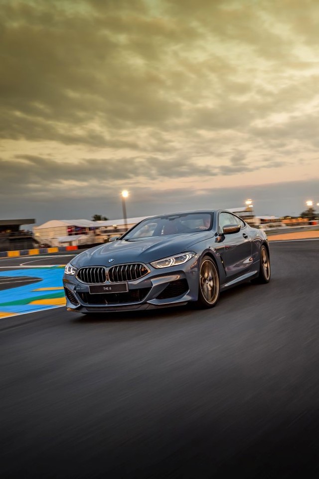 Bmw 8 Series Coupe foto 85