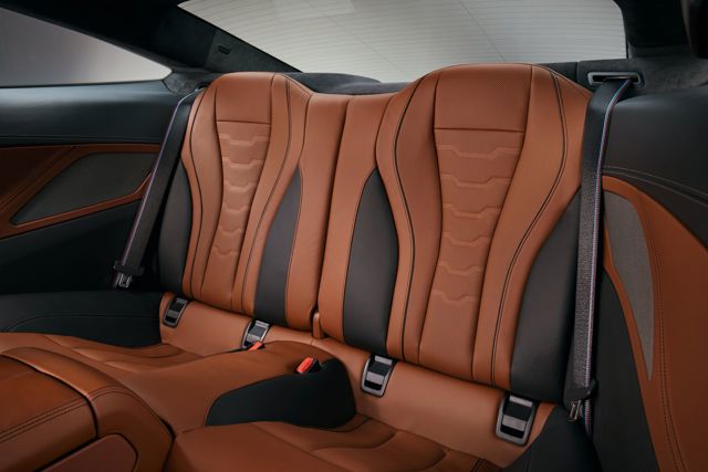 Bmw 8 Series Coupe foto 103