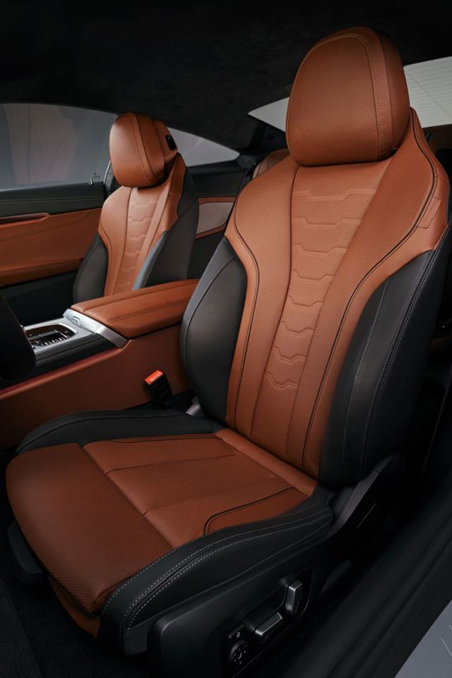 Bmw 8 Series Coupe foto 104
