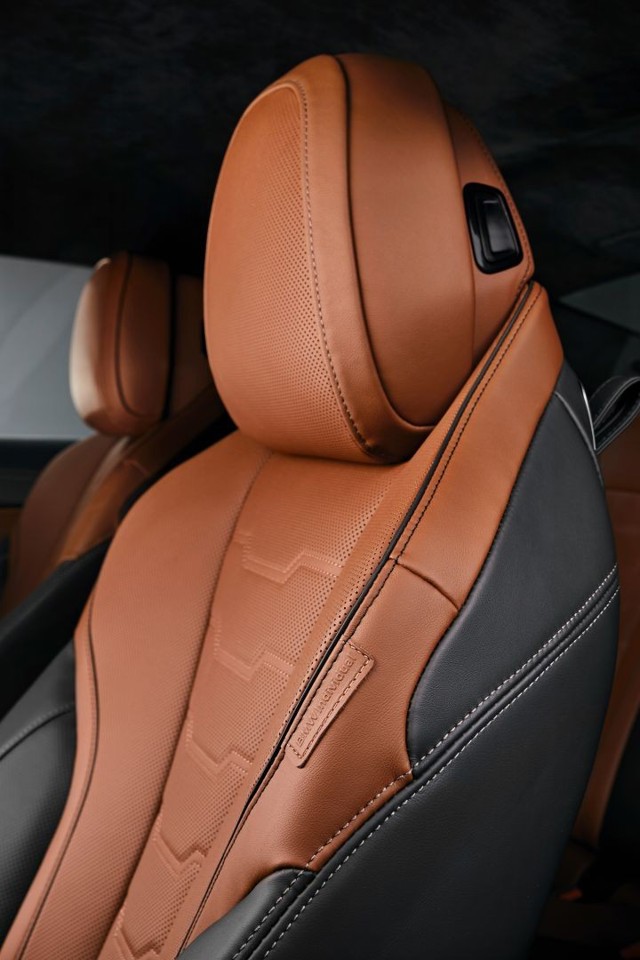 Bmw 8 Series Coupe foto 106