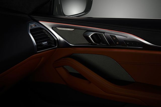 Bmw 8 Series Coupe foto 114