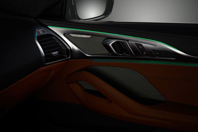 Bmw 8 Series Coupe foto 115