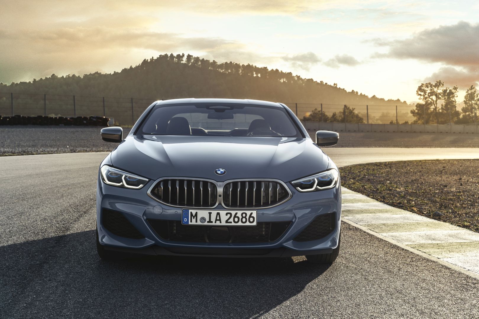 Bmw 8 Series Coupe photo 2