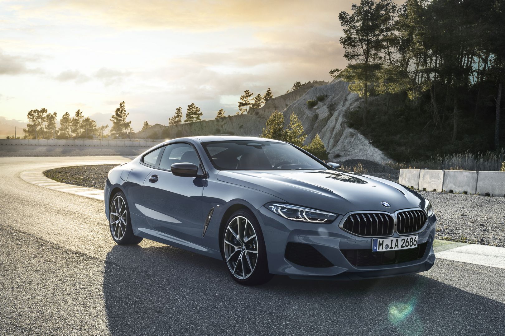 Bmw 8 Series Coupe photo 29