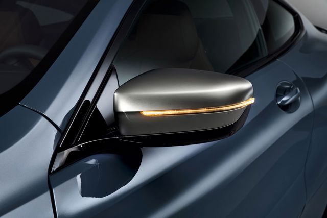 Bmw 8 Series Coupe foto 49