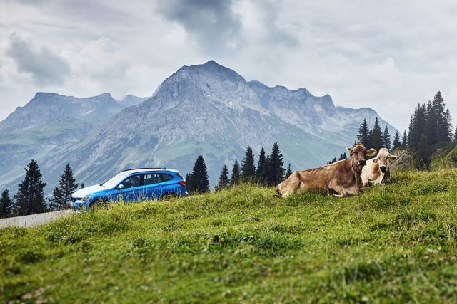 Bmw X1 photo 37