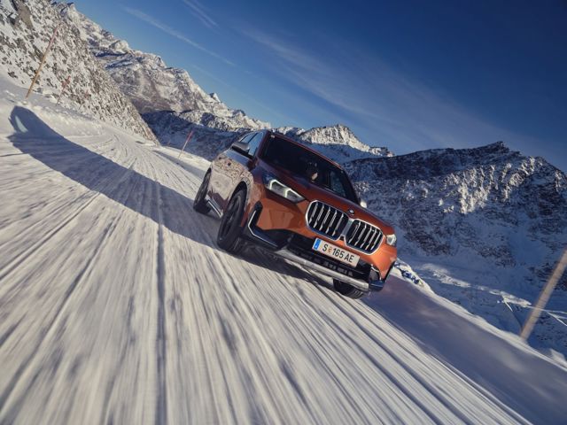 Bmw X1 photo 100