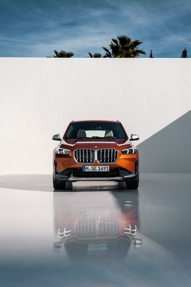 Bmw X1 photo 15