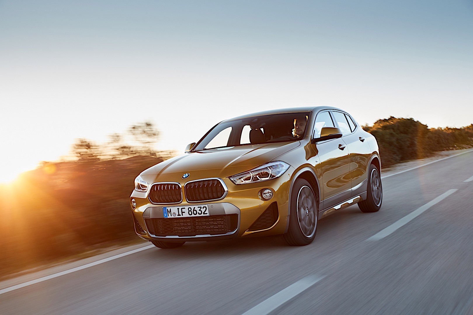 Bmw X2 photo 79