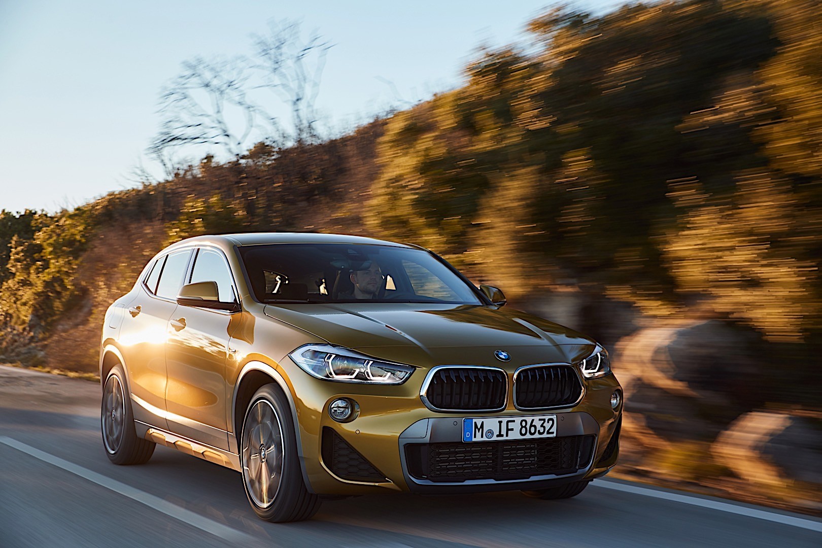 Bmw X2 photo 83