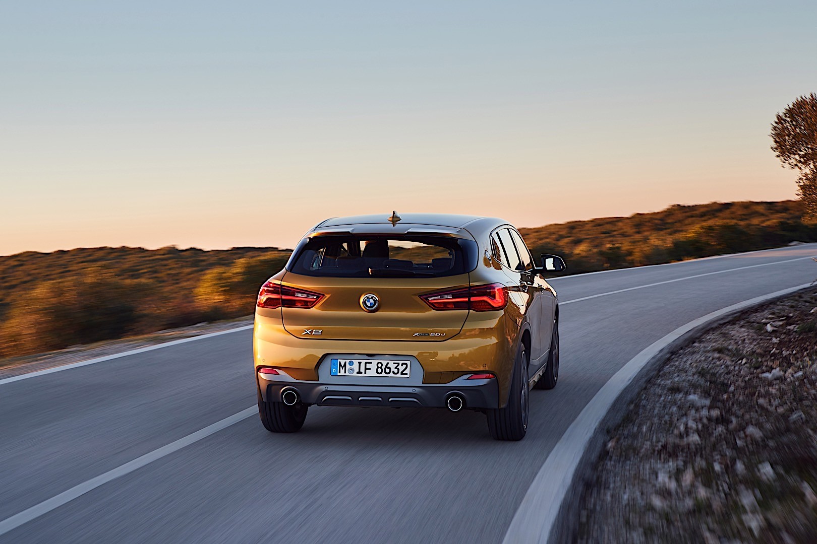 Bmw X2 photo 85