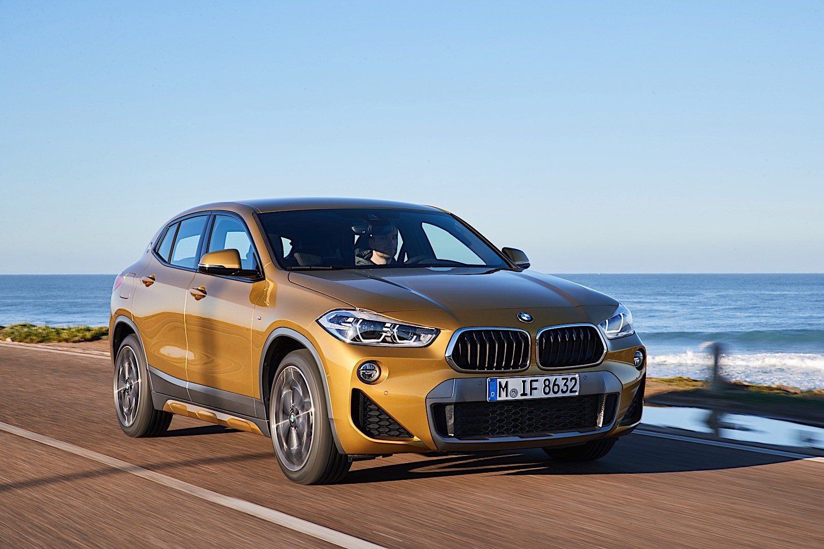 Bmw X2 photo 99