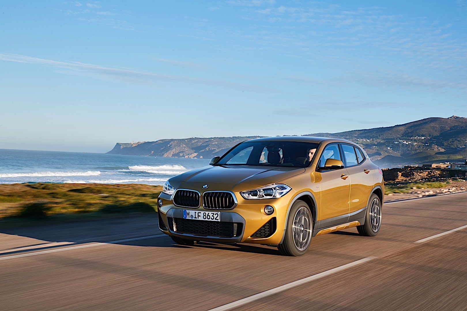 Bmw X2 photo 100