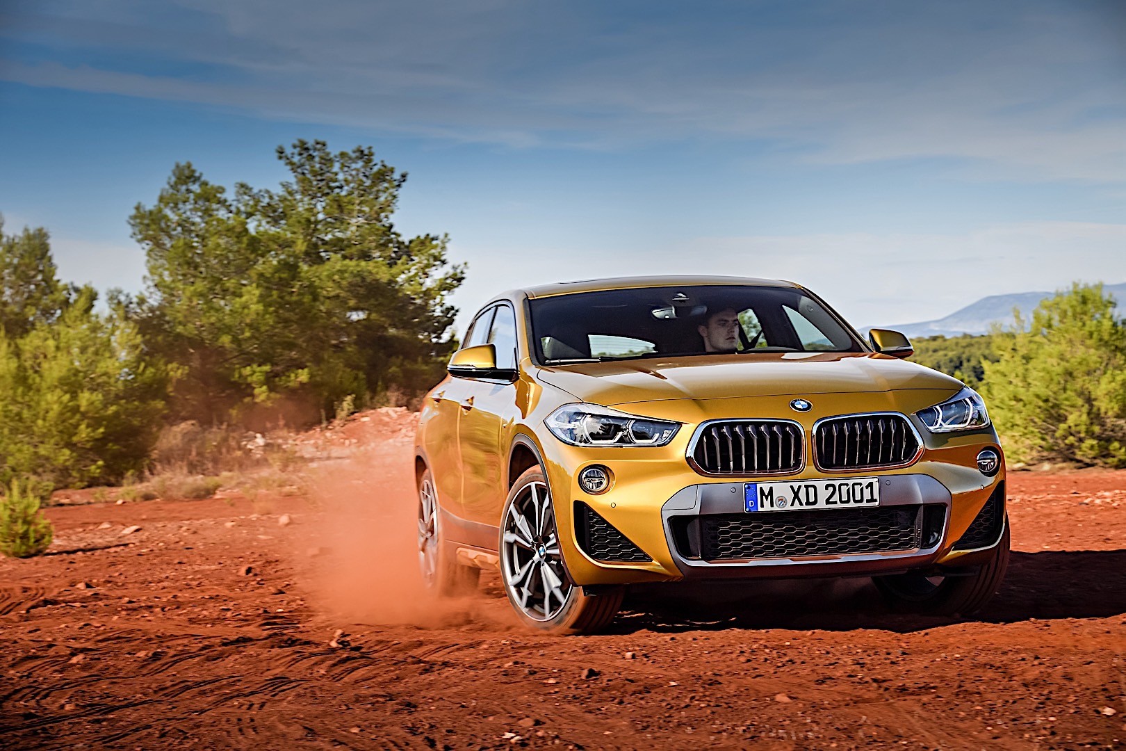 Bmw X2 photo 8