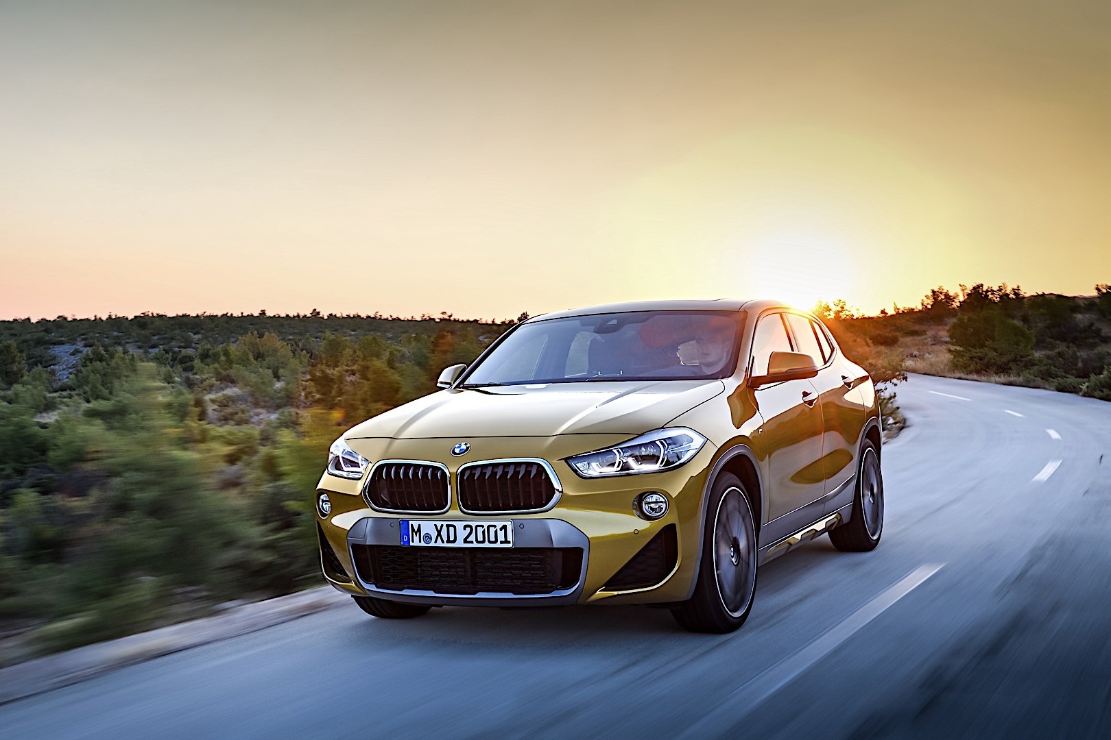 Bmw X2 photo 26