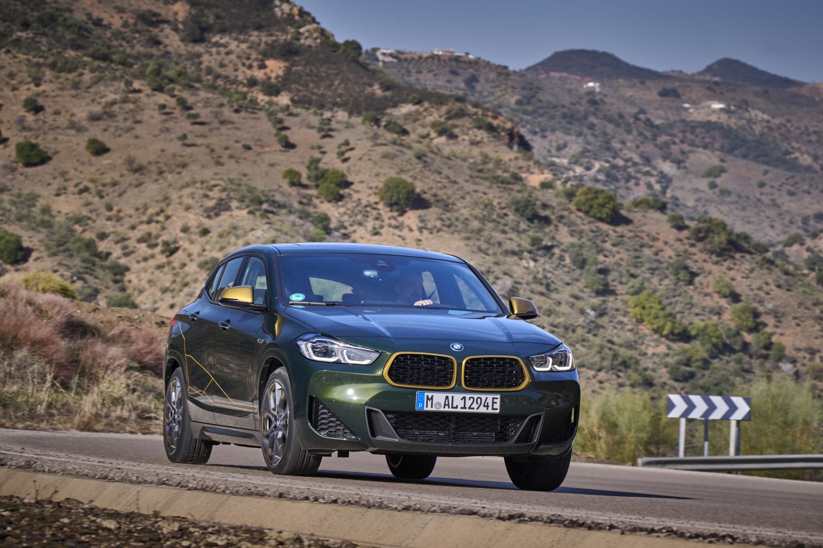 Bmw X2 photo 175