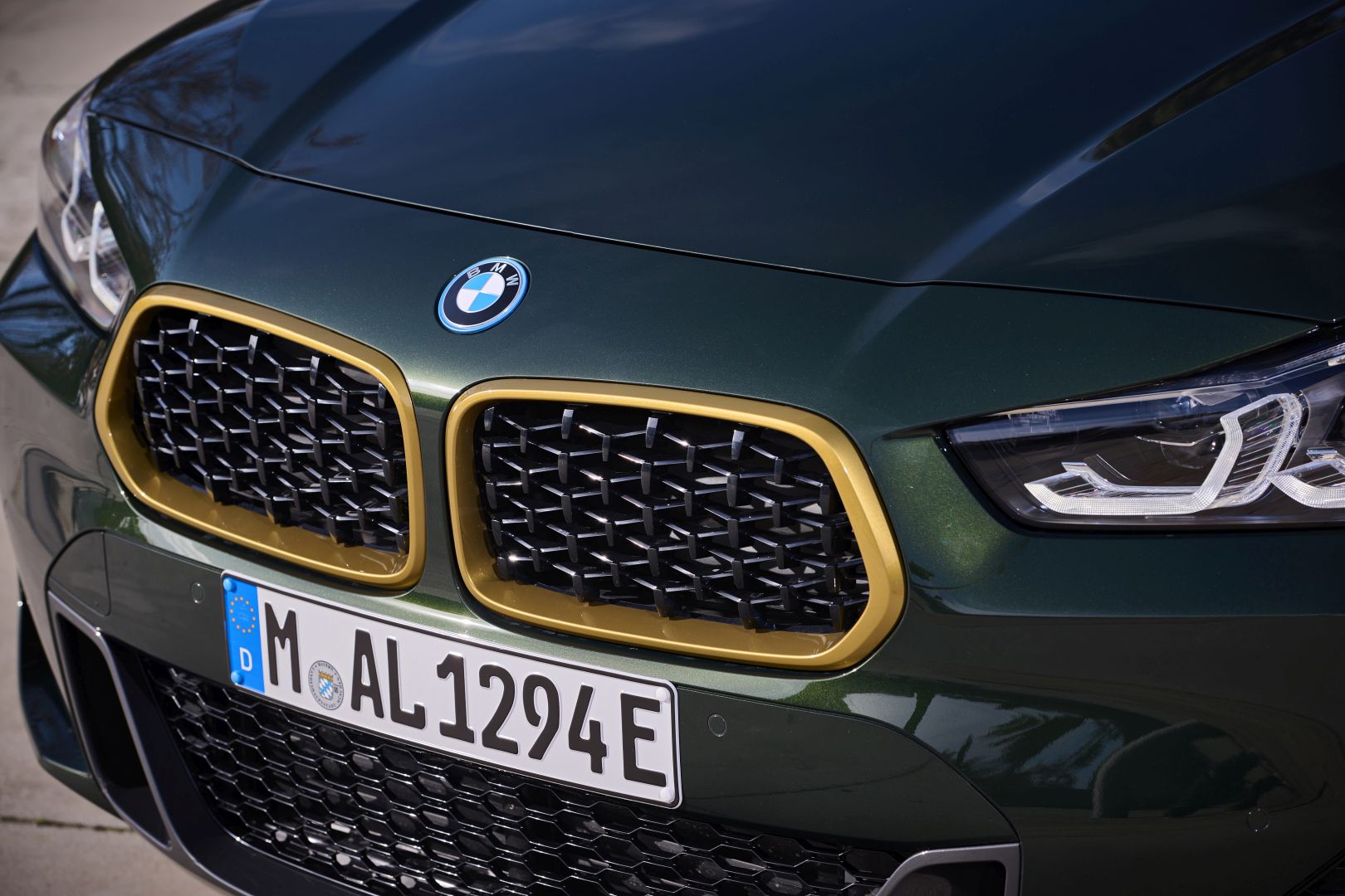 Bmw X2 photo 196