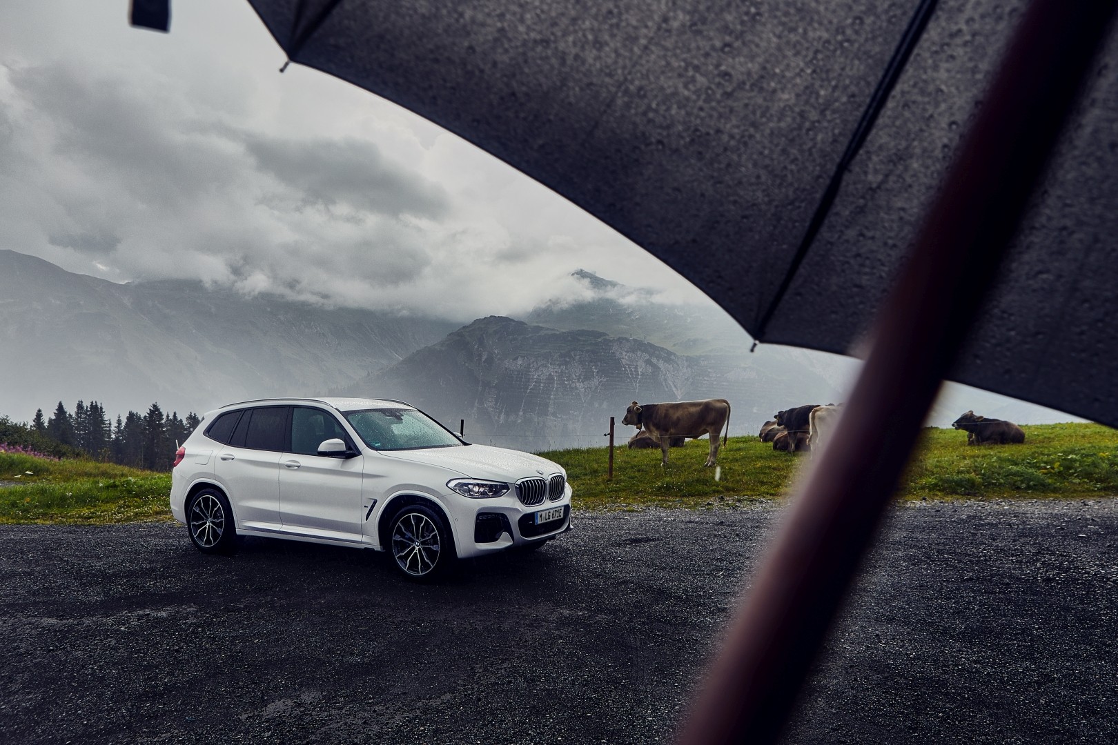 Bmw X3 M photo 58