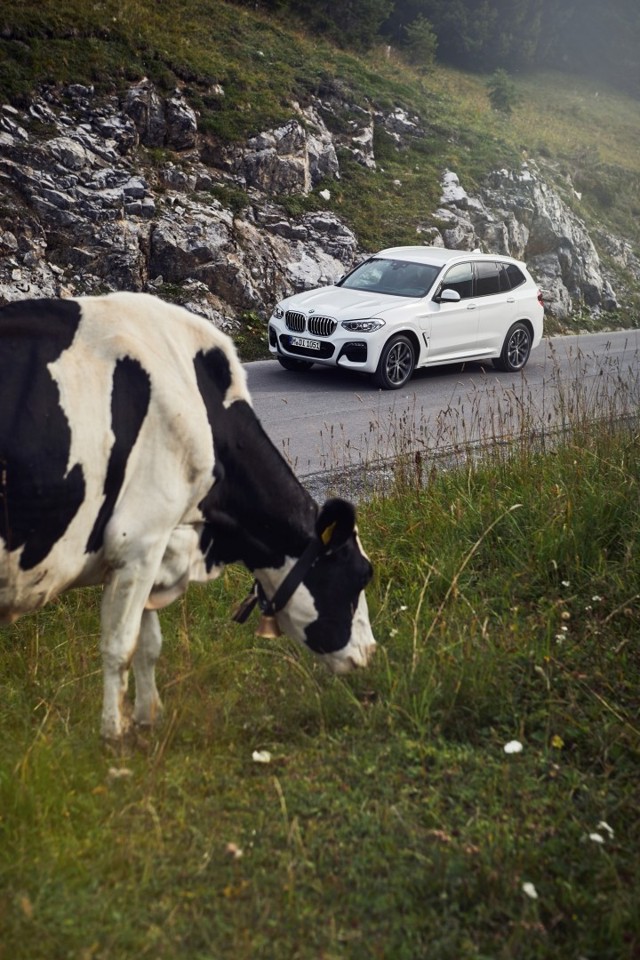 Bmw X3 M photo 67