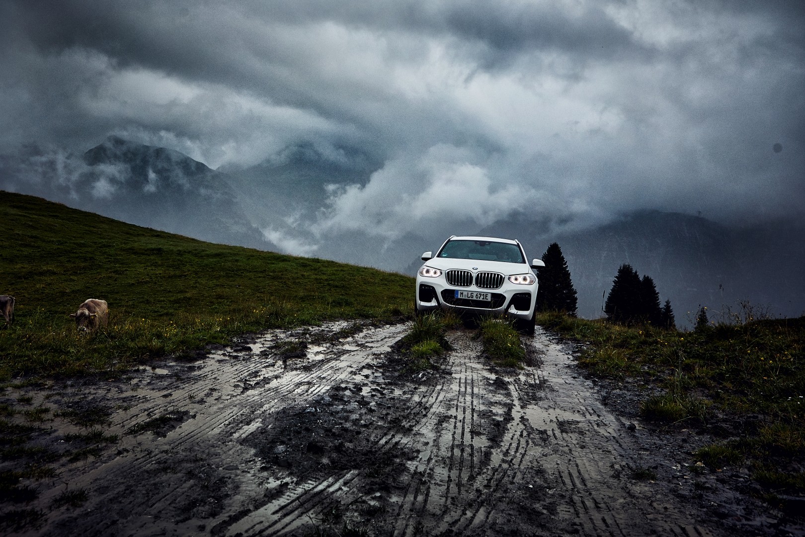 Bmw X3 M photo 68