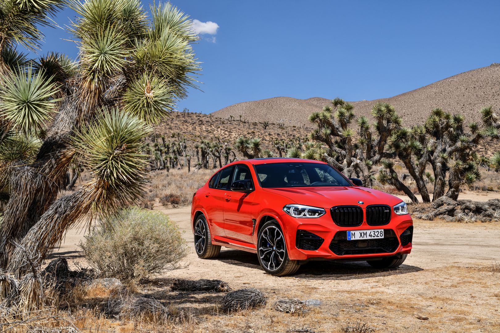 Bmw X4 M photo 34