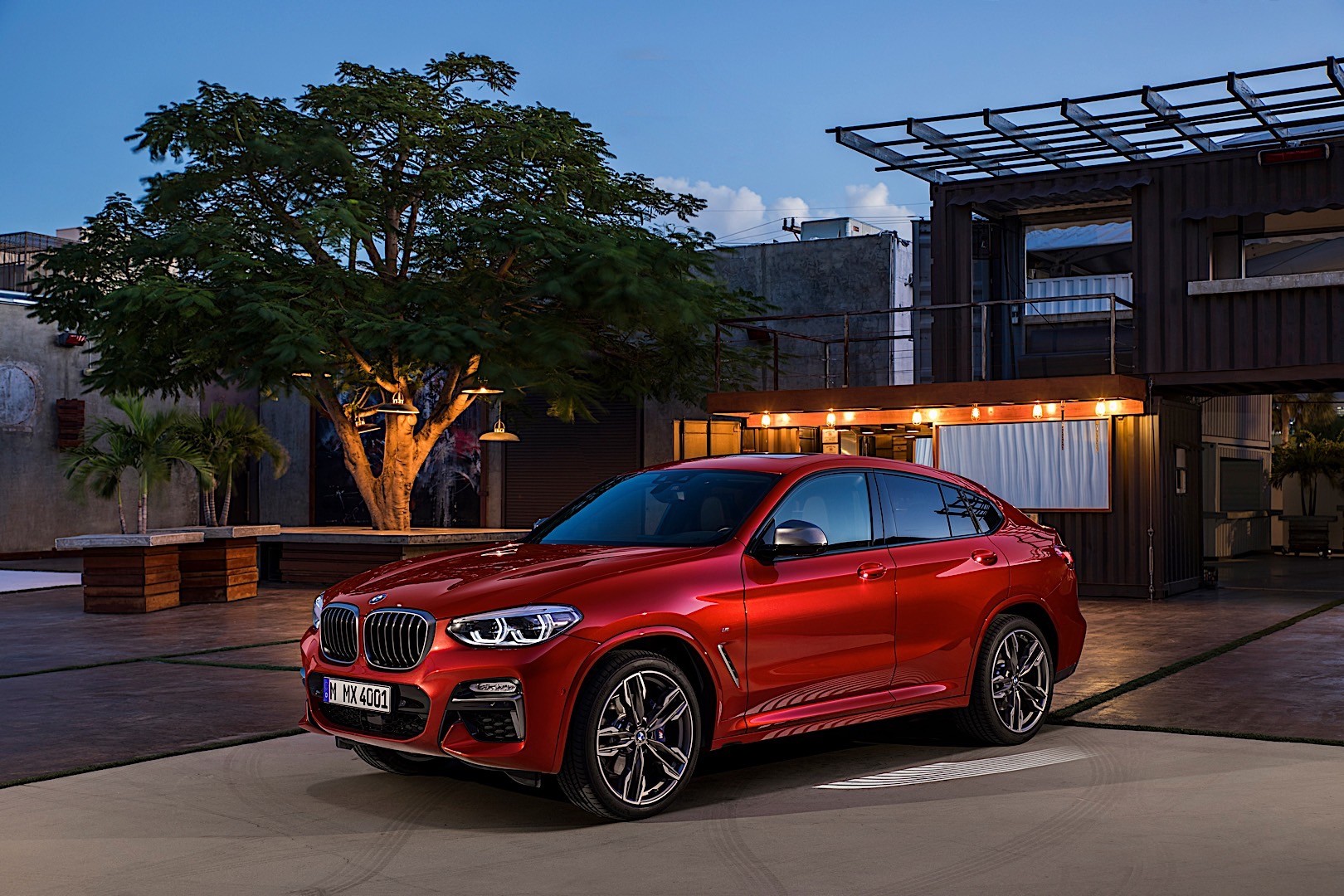Bmw X4 photo 9