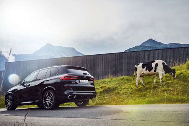 Bmw X5 foto 102