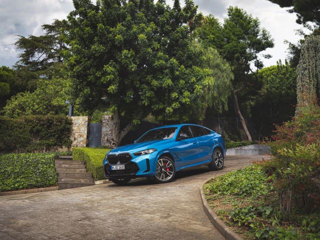 Bmw X6 photo 16