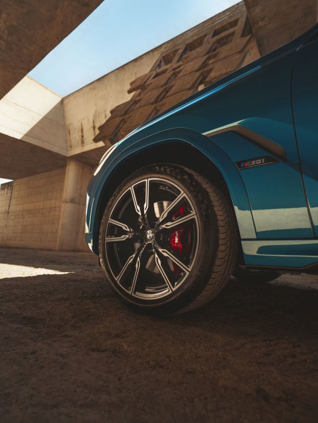 Bmw X6 photo 42