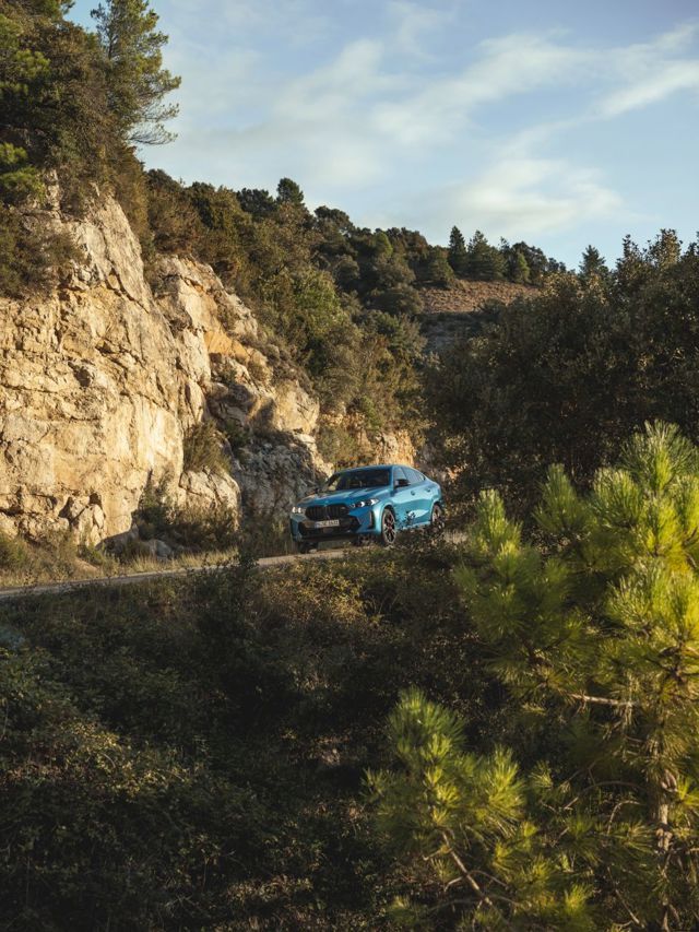 Bmw X6 photo 54