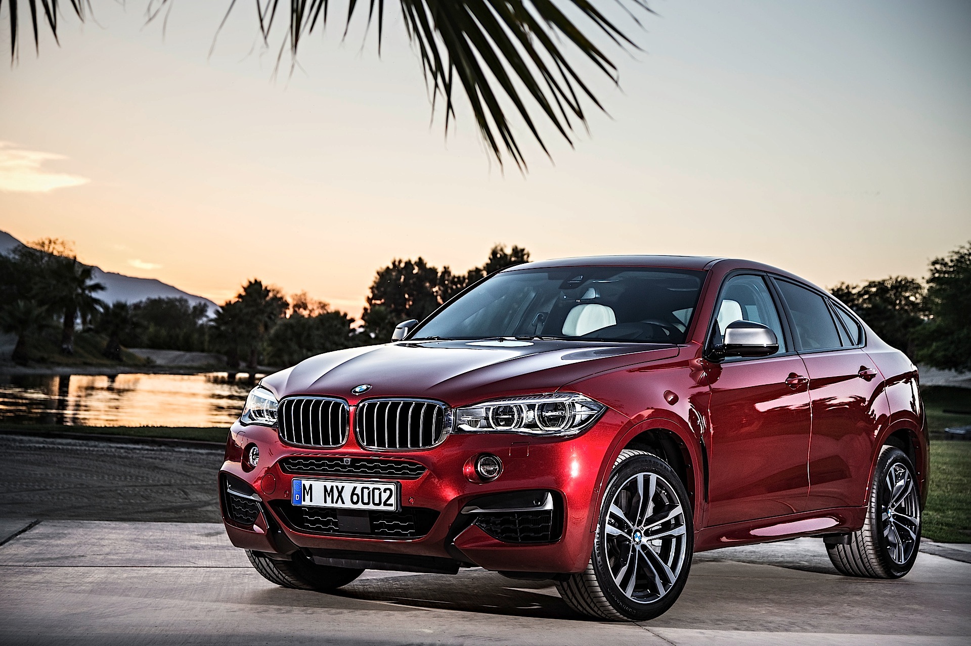 Bmw X6 photo 21