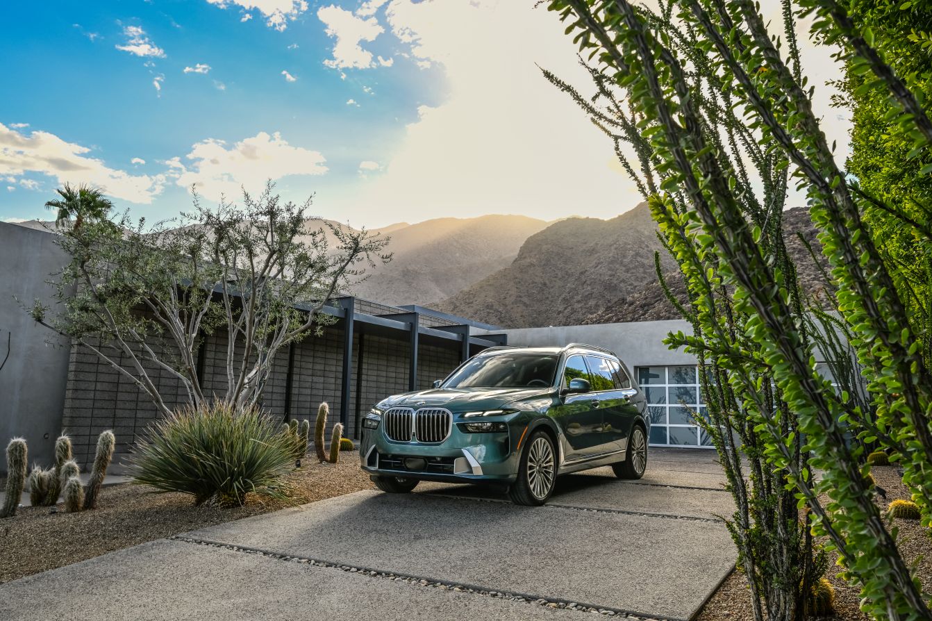 Bmw X7 photo 153