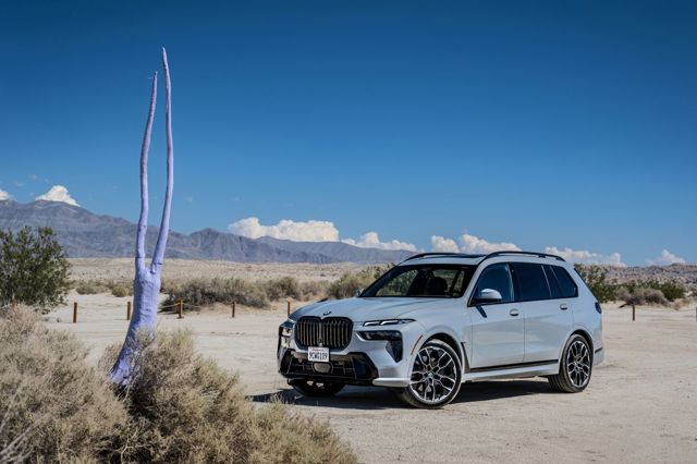 Bmw X7 photo 179