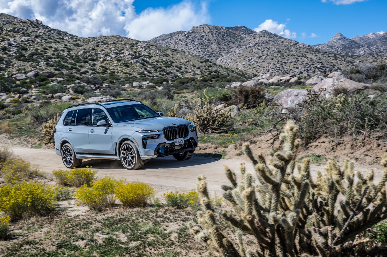 Bmw X7 photo 183