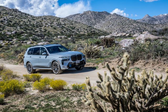 Bmw X7 photo 183
