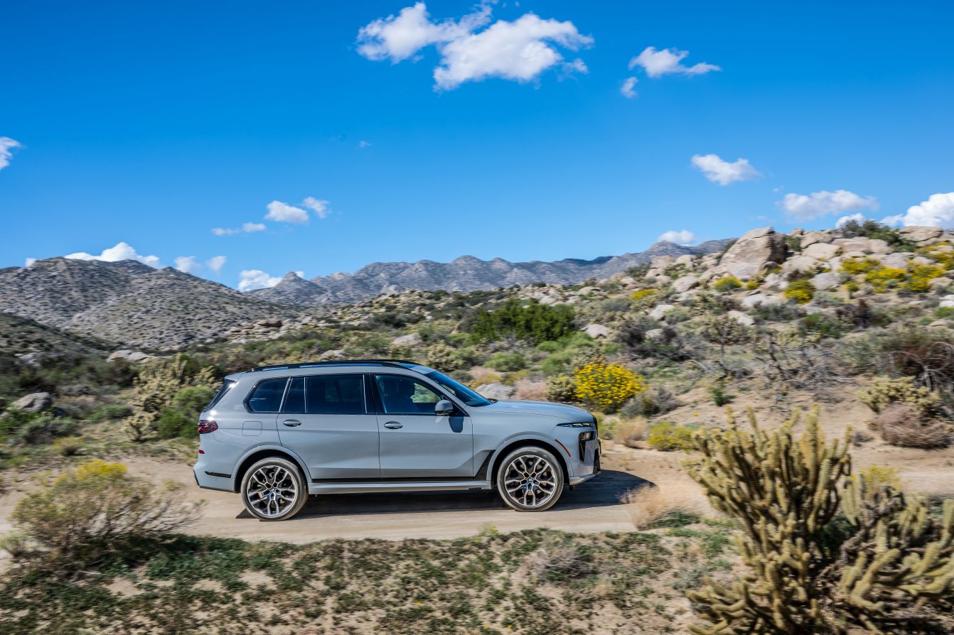 Bmw X7 photo 187