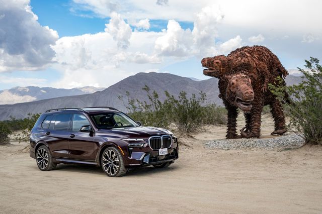 Bmw X7 photo 253