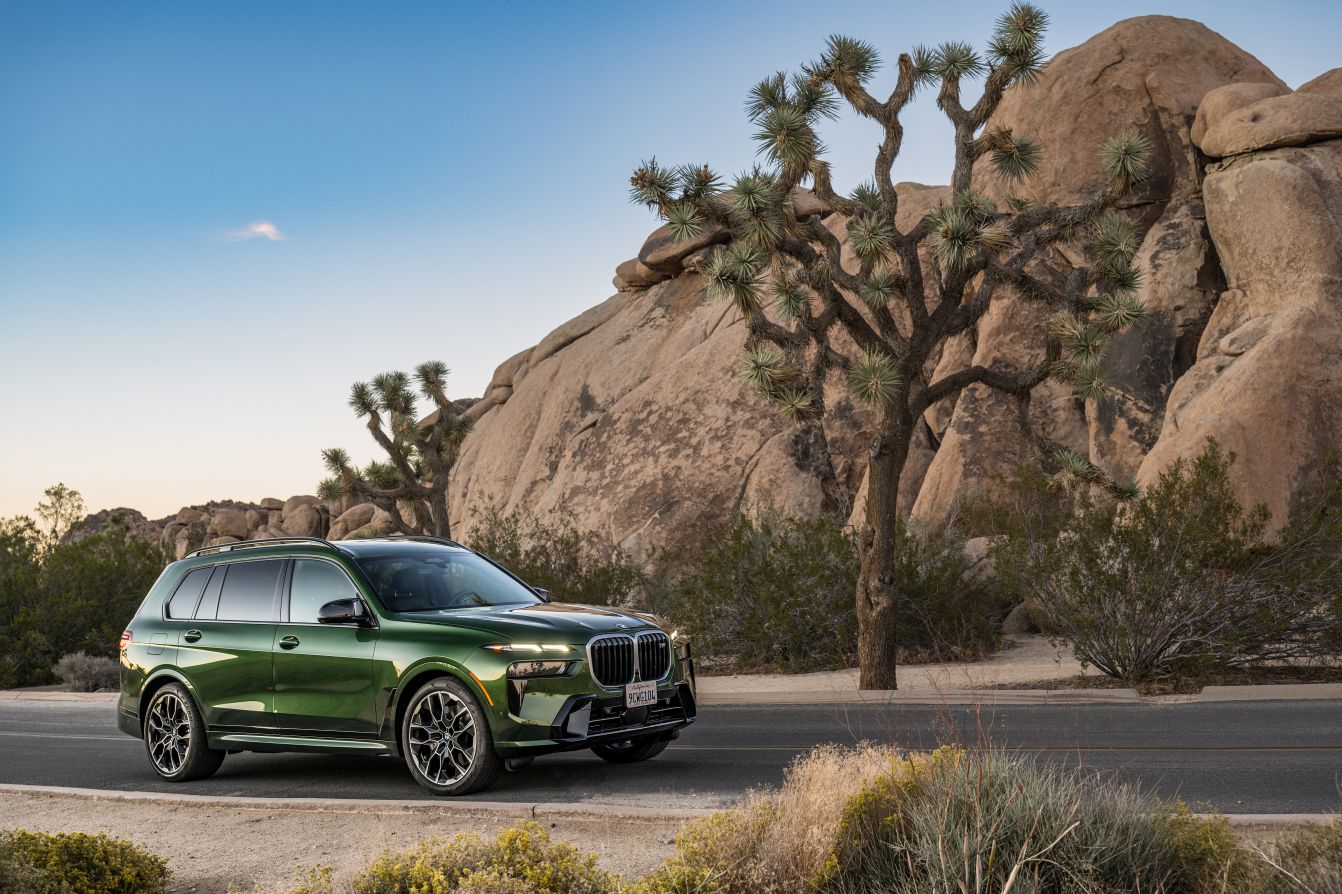 Bmw X7 photo 274