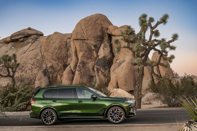 Bmw X7 photo 276