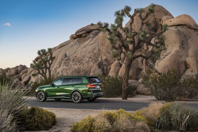 Bmw X7 photo 278