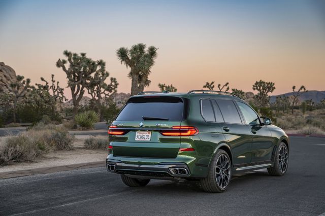 Bmw X7 photo 288