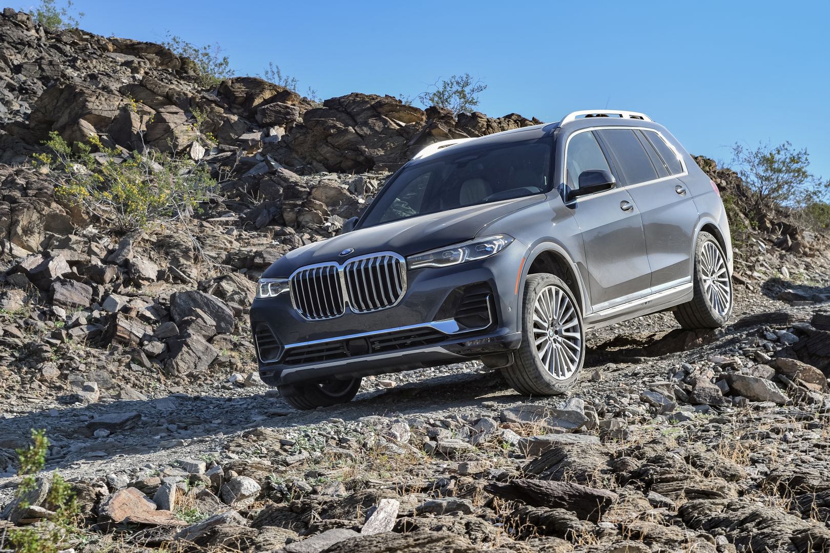 Bmw X7 photo 124