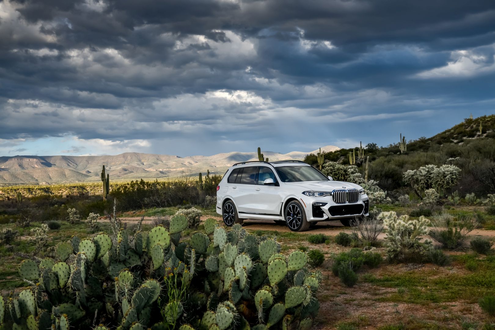 Bmw X7 photo 208