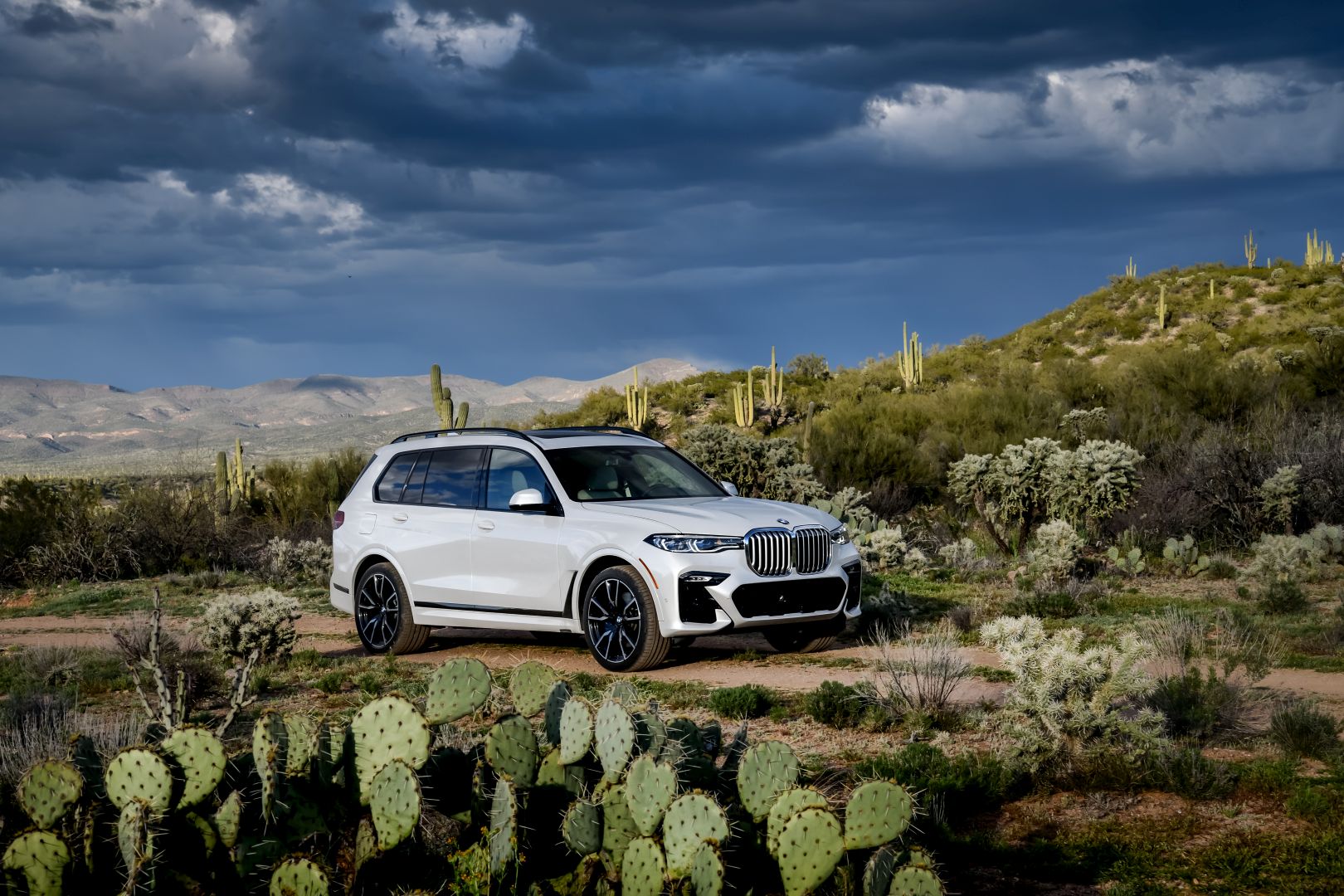 Bmw X7 photo 209